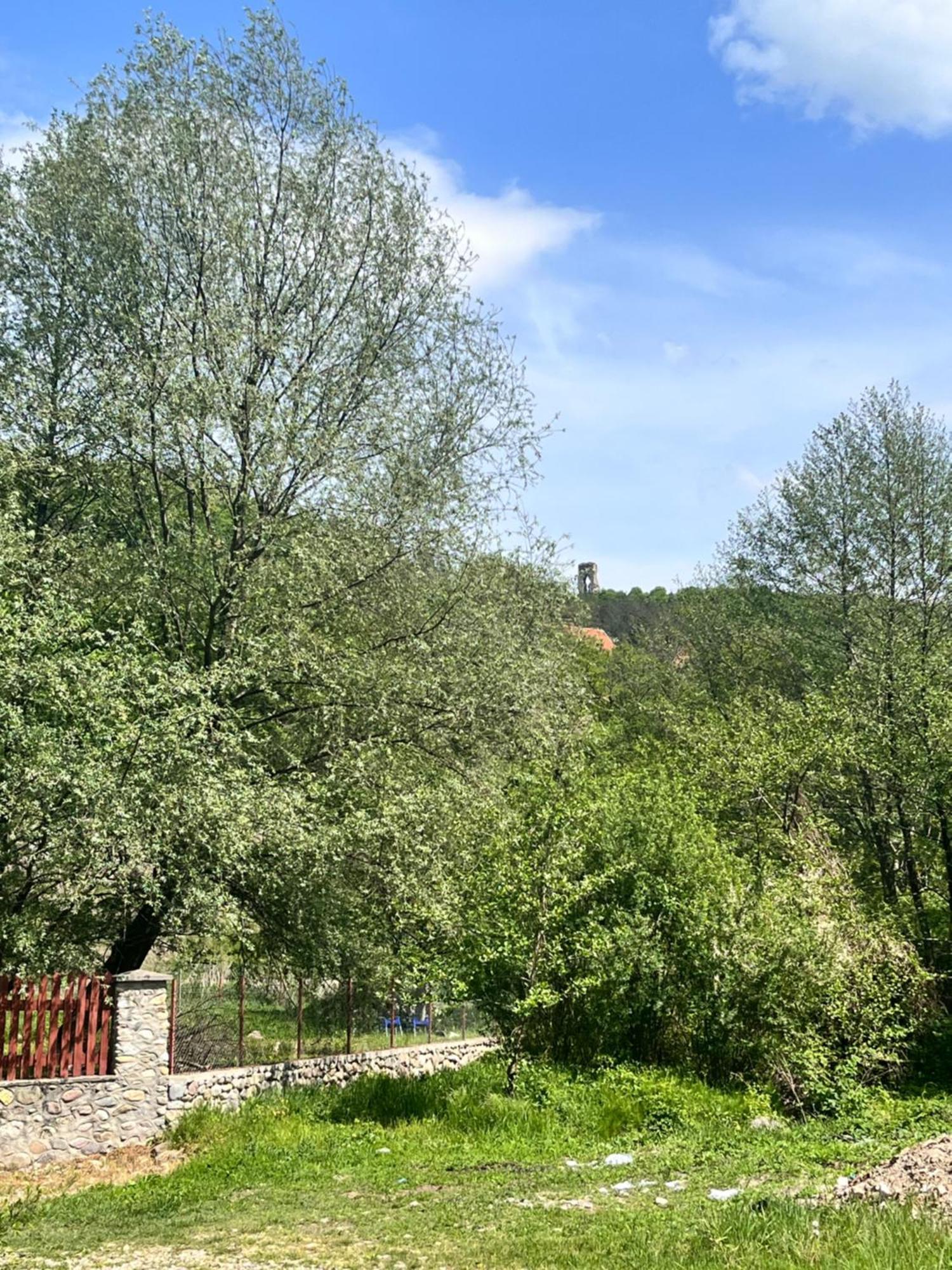 Hotel La Gradina à Mehadija Extérieur photo