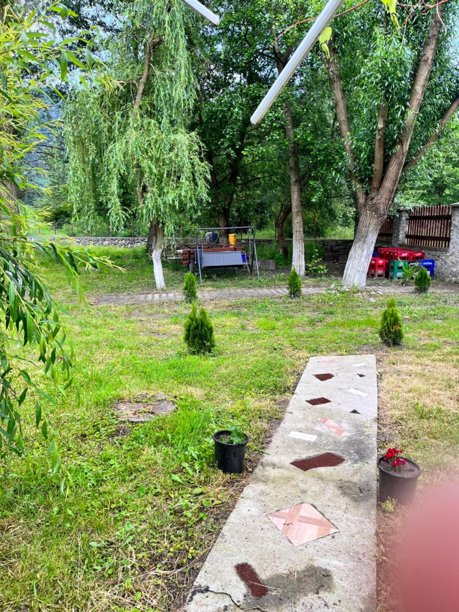 Hotel La Gradina à Mehadija Extérieur photo
